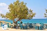 Plaka Naxos - Cyclades Greece - nr 3 - Photo GreeceGuide.co.uk