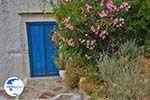 Potamia Naxos - Cyclades Greece - nr 71 - Photo GreeceGuide.co.uk