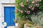 Potamia Naxos - Cyclades Greece - nr 78 - Photo GreeceGuide.co.uk