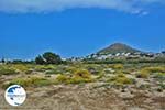 Stelida Naxos - Cyclades Greece - nr  4 - Photo GreeceGuide.co.uk