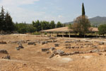 Nemea Corinth | Peloponnese | Greece Photo 12 - Photo Marcel Fens