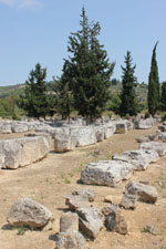 Nemea Corinth | Peloponnese | Greece Photo 19 - Photo Marcel Fens