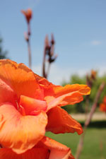 Nemea Corinth | Peloponnese | Greece Photo 28 - Photo Marcel Fens