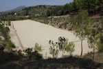 Nemea Corinth | Peloponnese | Greece Photo 37 - Photo Marcel Fens