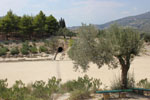 Nemea Corinth | Peloponnese | Greece Photo 41 - Photo Marcel Fens