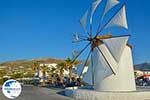Parikia Paros - Cyclades -  Photo 5 - Photo GreeceGuide.co.uk