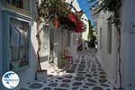 Parikia Paros - Cyclades -  Photo 46 - Photo GreeceGuide.co.uk