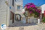 Parikia Paros - Cyclades -  Photo 51 - Photo GreeceGuide.co.uk