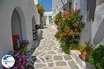 Parikia Paros - Cyclades -  Photo 62 - Photo GreeceGuide.co.uk
