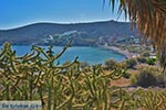 Kampos - Island of Patmos - Greece  Photo 31 - Photo GreeceGuide.co.uk