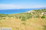 Koilada (Kilada) | Argolida (Argolis) Peloponnese | Greece Photo 17 - Photo GreeceGuide.co.uk