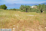 Koilada (Kilada) | Argolida (Argolis) Peloponnese | Greece Photo 23 - Photo GreeceGuide.co.uk