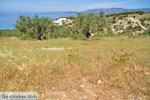Koilada (Kilada) | Argolida (Argolis) Peloponnese | Greece Photo 24 - Photo GreeceGuide.co.uk