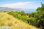 Near old Epidavros | Argolida (Argolis) Peloponnese | Greece Photo 2 - Photo GreeceGuide.co.uk