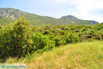 Near old Epidavros | Argolida (Argolis) Peloponnese | Greece Photo 4 - Photo GreeceGuide.co.uk