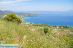 Near old Epidavros | Argolida (Argolis) Peloponnese | Greece Photo 8 - Photo GreeceGuide.co.uk