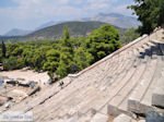Epidavros Argolida (Argolis) - Peloponnese Photo 30 - Photo GreeceGuide.co.uk