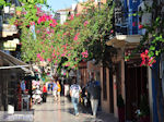 Nafplion - Argolida (Argolis) - Peloponnese - Photo 59 - Photo GreeceGuide.co.uk