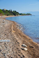 Chrani | Messenia Peloponnese | Greece  4 - Photo GreeceGuide.co.uk