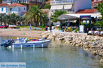 Finikounda | Messenia Peloponnese | Greece  16 - Photo GreeceGuide.co.uk