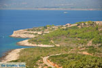 Pylos (Navarino) | Messenia Peloponnese | Photo 5 - Photo GreeceGuide.co.uk