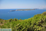 Pylos (Navarino) | Messenia Peloponnese | Photo 9 - Photo GreeceGuide.co.uk