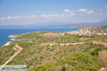 Pylos (Navarino) | Messenia Peloponnese | Photo 10 - Photo GreeceGuide.co.uk