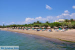 Gialova | Messenia Peloponnese | Photo 1 - Photo GreeceGuide.co.uk