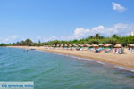 Gialova | Messenia Peloponnese | Photo 3 - Photo GreeceGuide.co.uk