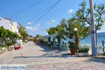 Gialova | Messenia Peloponnese | Photo 10 - Photo GreeceGuide.co.uk