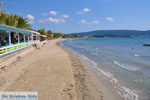 Gialova | Messenia Peloponnese | Photo 12 - Photo GreeceGuide.co.uk