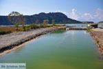 Gialova | Messenia Peloponnese | Photo 19 - Photo GreeceGuide.co.uk