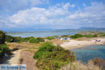 Near Gialova and Voidokilia | Messenia Peloponnese | Photo 9 - Photo GreeceGuide.co.uk