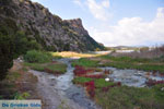 Near Gialova and Voidokilia | Messenia Peloponnese | Photo 11 - Photo GreeceGuide.co.uk