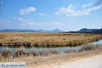 Near Gialova and Voidokilia | Messenia Peloponnese | Photo 17 - Photo GreeceGuide.co.uk