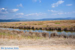 Near Gialova and Voidokilia | Messenia Peloponnese | Photo 18 - Photo GreeceGuide.co.uk