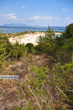 Near Gialova and Voidokilia | Messenia Peloponnese | Photo 19 - Photo GreeceGuide.co.uk