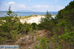 Near Gialova and Voidokilia | Messenia Peloponnese | Photo 20 - Photo GreeceGuide.co.uk