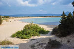 Near Gialova and Voidokilia | Messenia Peloponnese | Photo 47 - Photo GreeceGuide.co.uk