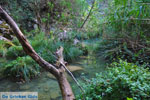 Waterfalls Polilimnio | Messenia Peloponnese | Photo 2 - Photo GreeceGuide.co.uk