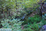 Waterfalls Polilimnio | Messenia Peloponnese | Photo 3 - Photo GreeceGuide.co.uk