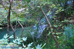 Waterfalls Polilimnio | Messenia Peloponnese | Photo 4 - Photo GreeceGuide.co.uk