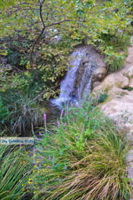 Waterfalls Polilimnio | Messenia Peloponnese | Photo 10 - Photo GreeceGuide.co.uk