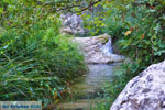 Waterfalls Polilimnio | Messenia Peloponnese | Photo 13 - Photo GreeceGuide.co.uk