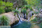 Waterfalls Polilimnio | Messenia Peloponnese | Photo 15 - Photo GreeceGuide.co.uk