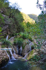Waterfalls Polilimnio | Messenia Peloponnese | Photo 18 - Photo GreeceGuide.co.uk