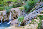 Waterfalls Polilimnio | Messenia Peloponnese | Photo 20 - Photo GreeceGuide.co.uk