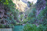 Waterfalls Polilimnio | Messenia Peloponnese | Photo 22 - Photo GreeceGuide.co.uk