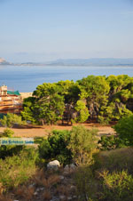 Pylos (Navarino) | Messenia Peloponnese | Photo 103 - Photo GreeceGuide.co.uk