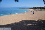 Kyparissia | Messenia Peloponnese | Photo 7 - Photo GreeceGuide.co.uk